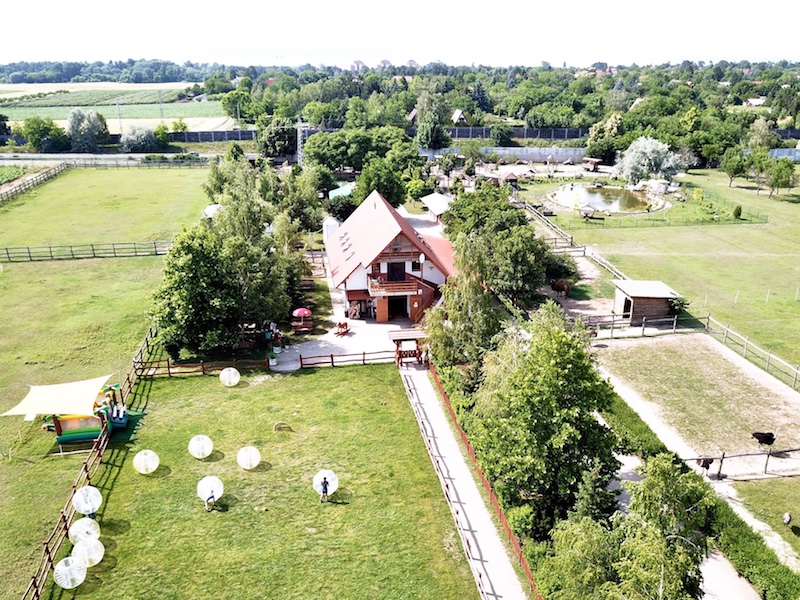 Siófok programok, Bella Állatpark, Zoo, állatkert, kalandpark, élménypark, állatok, Balaton