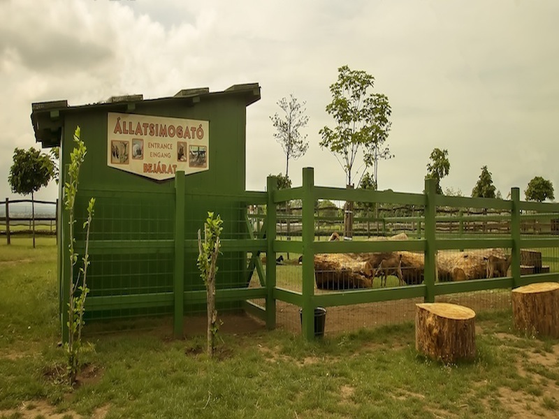 Animal park, zoo, petting zoo, horse riding, pony riding, camel, camels, camel riding, bubble football, Big Ball, Zorb, Zorbing, adventure park, Siófok, Balaton, programs