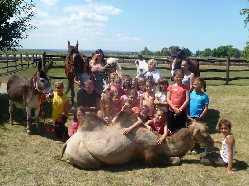 Animal park, zoo, petting zoo, horse riding, pony riding, camel, camels, camel riding, bubble football, Big Ball, Zorb, Zorbing, adventure park, Siófok, Balaton, programs