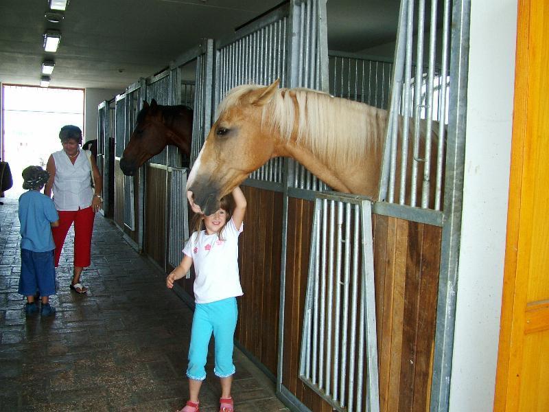 Bella Állatpark, Siófok, Programok, Állatsimogató