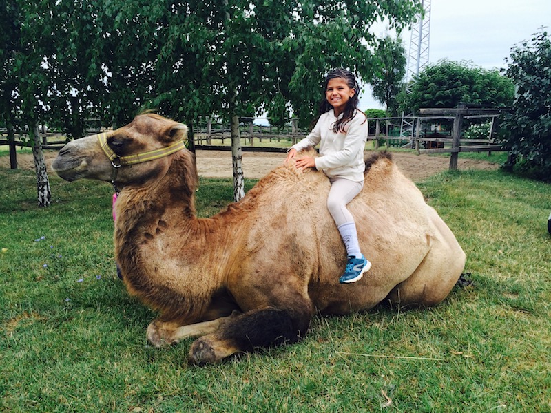 Zoo Park, Tierpark, reiten, pony, kamel, trampeltier, kalmele reiten, Hüpfburg, Abenteuerpark, Big Ball, Zorb, Zorbing, Siófok, Balaton, programme, Blasen-Fußball