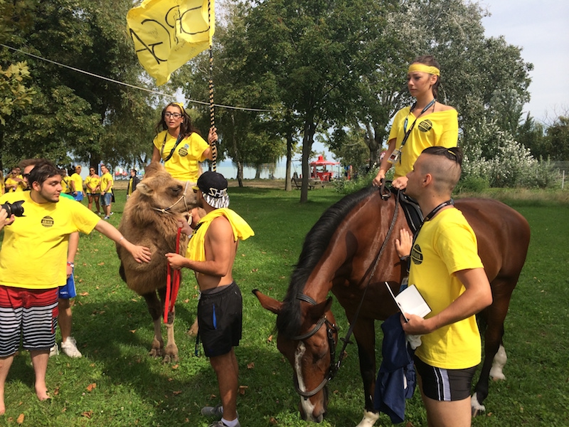 Bella Állatpark, Siófok, Szolgáltatásaink, Csapatépítő tréning