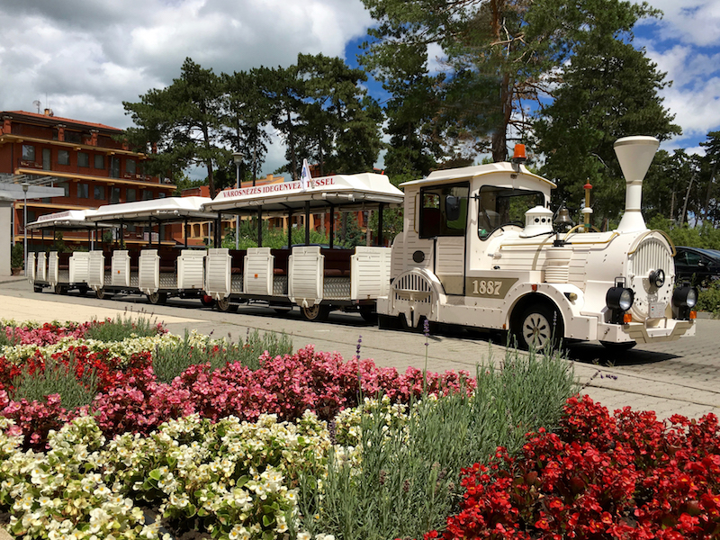 Bella Zoo Park, Siófok, Programmes, Shuttle Bus