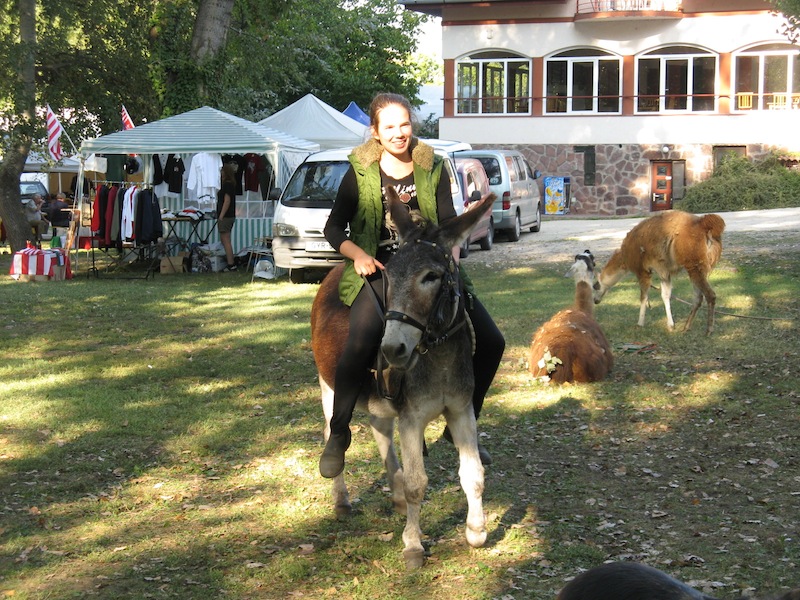 Bella Állatpark, Siófok, Programok, Élménylovaglás és tevegelés